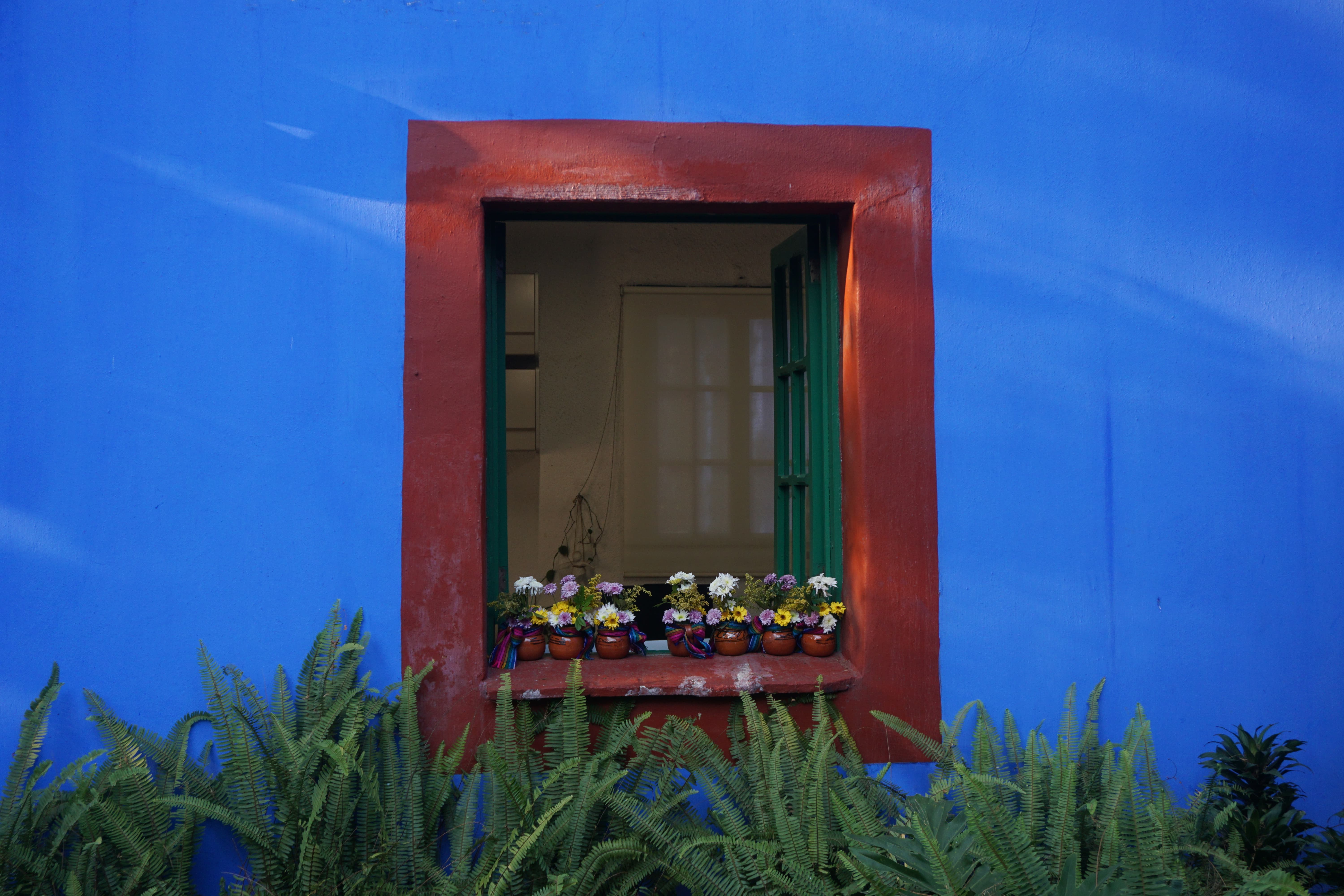 DSC03663