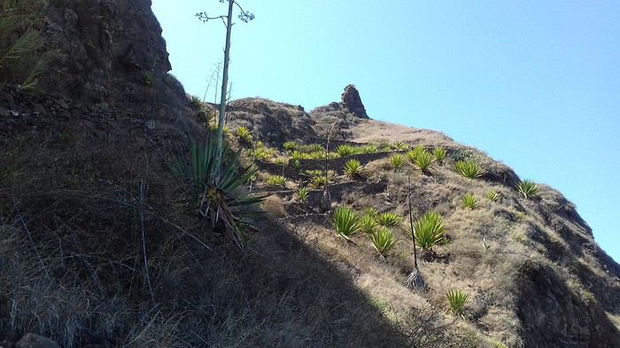 2 semaines de randonnées à Santo Antao (Cap Vert) - Mercuri63