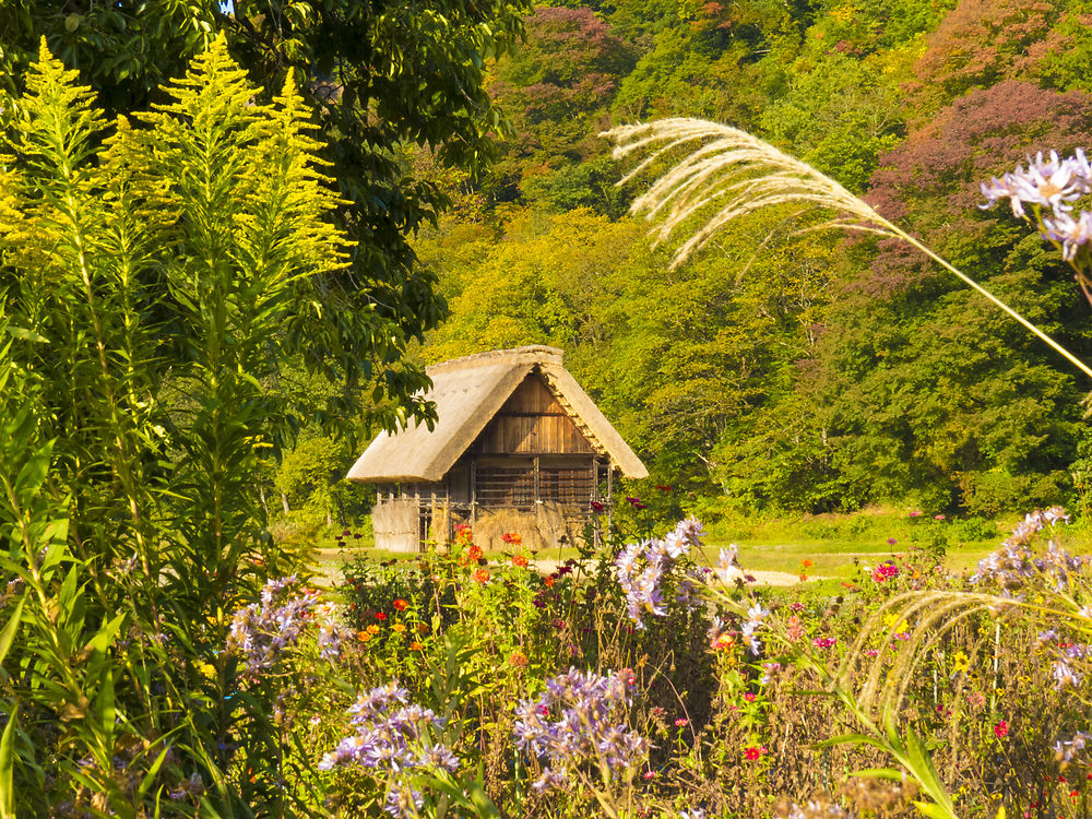 recapitulatif de 30 jours au japon en octobre - sostressed