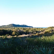 Kangourous, Koalas, Crocodiles et Araignées - 1 mois de Road Trip en Australie - Adelette