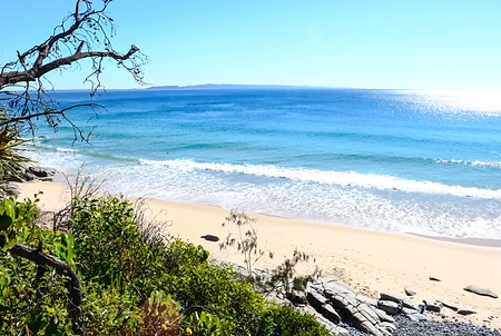 Kangourous, Koalas, Crocodiles et Araignées - 1 mois de Road Trip en Australie - Adelette