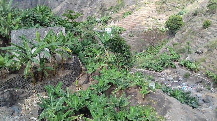 2 semaines de randonnées à Santo Antao (Cap Vert) - Mercuri63