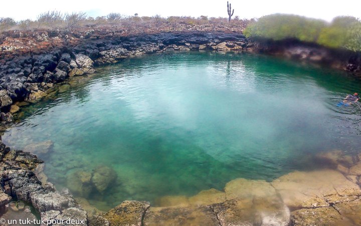 12 jours aux Îles Galápagos en autonomie, c'est vraiment merveilleux! - un-tuk-tuk-pour-deux