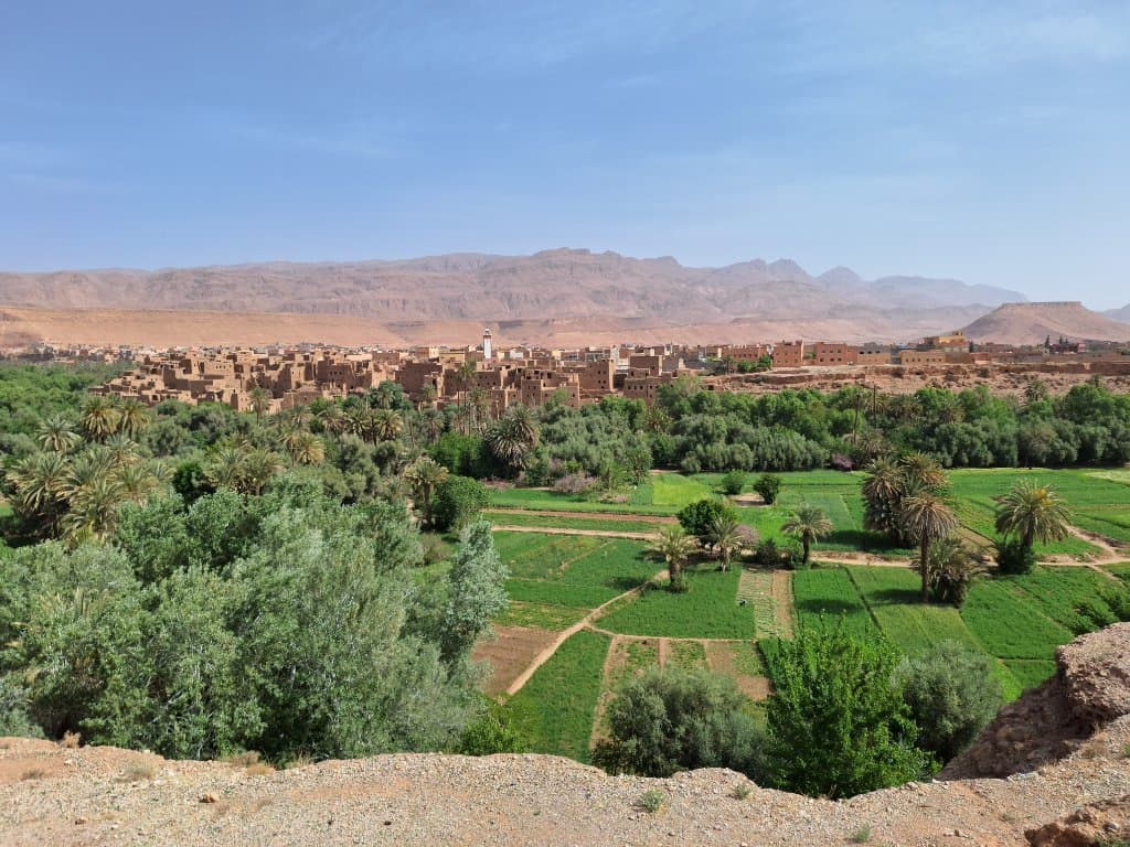 La palmeraie de Tinghir