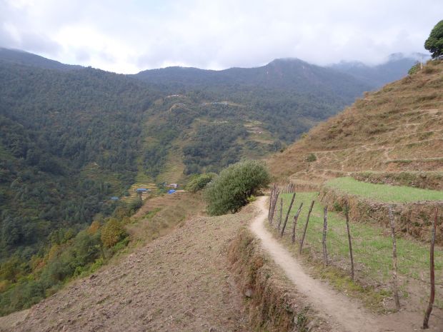 Vers le camp de base de l'Annapurna ! - fab_lio