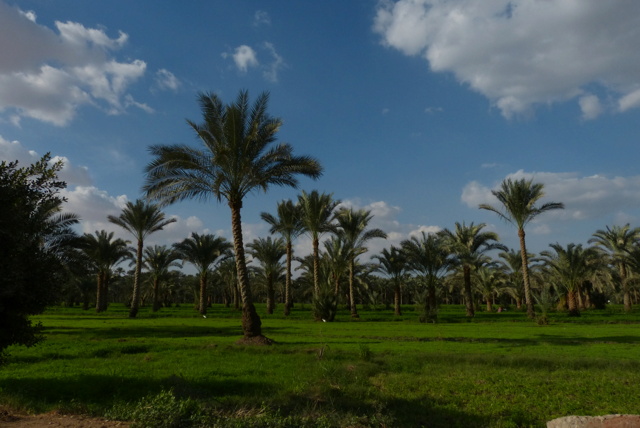 Egypte novembre 2025 : retour sur mon voyage P1670210