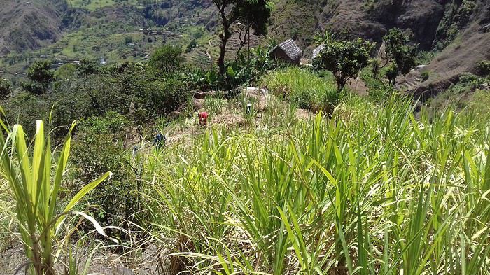 2 semaines de randonnées à Santo Antao (Cap Vert) - Mercuri63