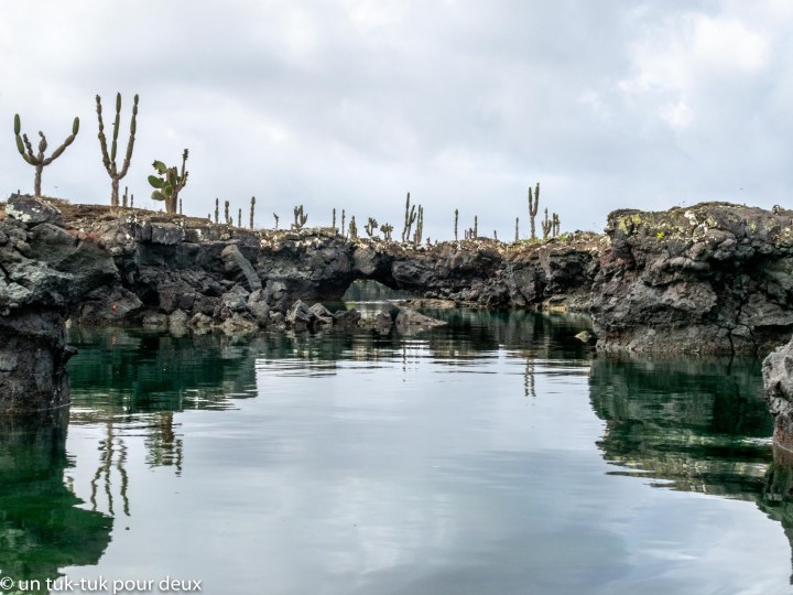 12 jours aux Îles Galápagos en autonomie, c'est vraiment merveilleux! - un-tuk-tuk-pour-deux