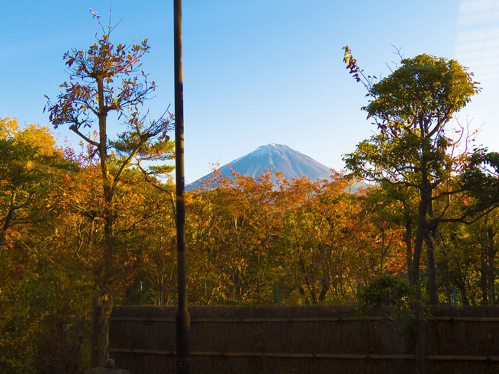 recapitulatif de 30 jours au japon en octobre - sostressed