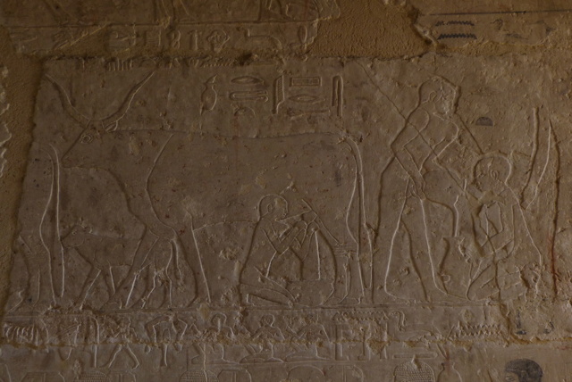 Egypte novembre 2025 : retour sur mon voyage P1670310