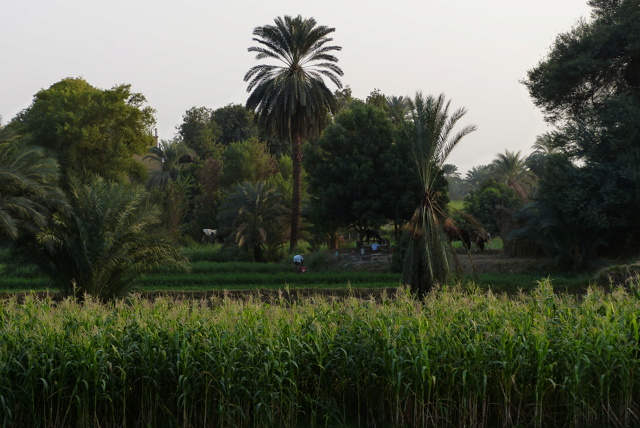Egypte novembre 2025 : retour sur mon voyage P1690610