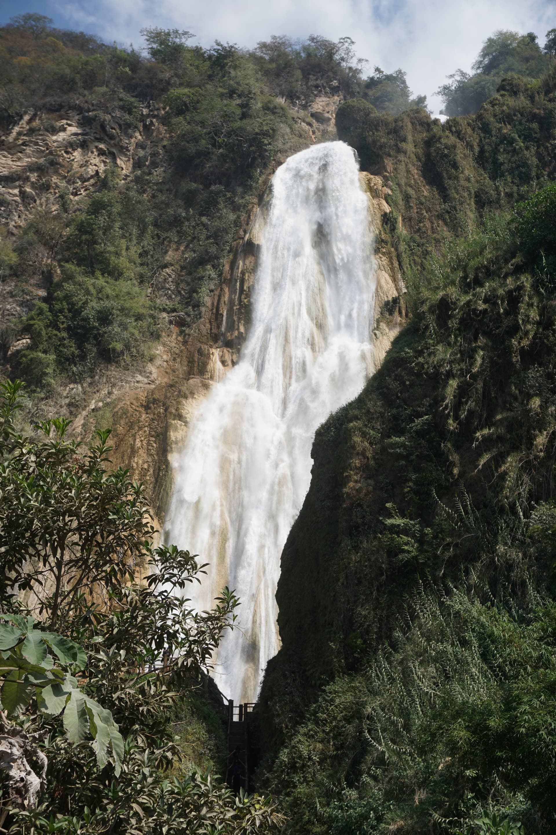 DSC02451