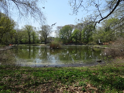 DSC08040 parc