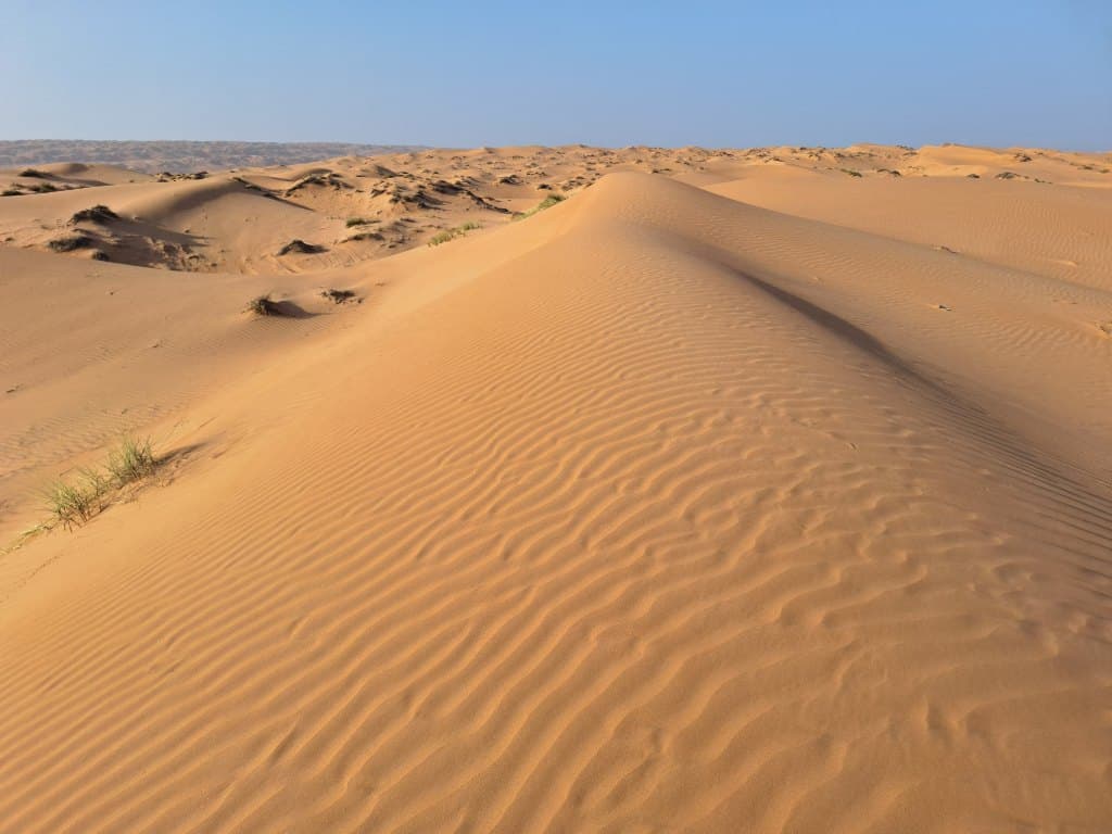 Désert des Wahiba Sands