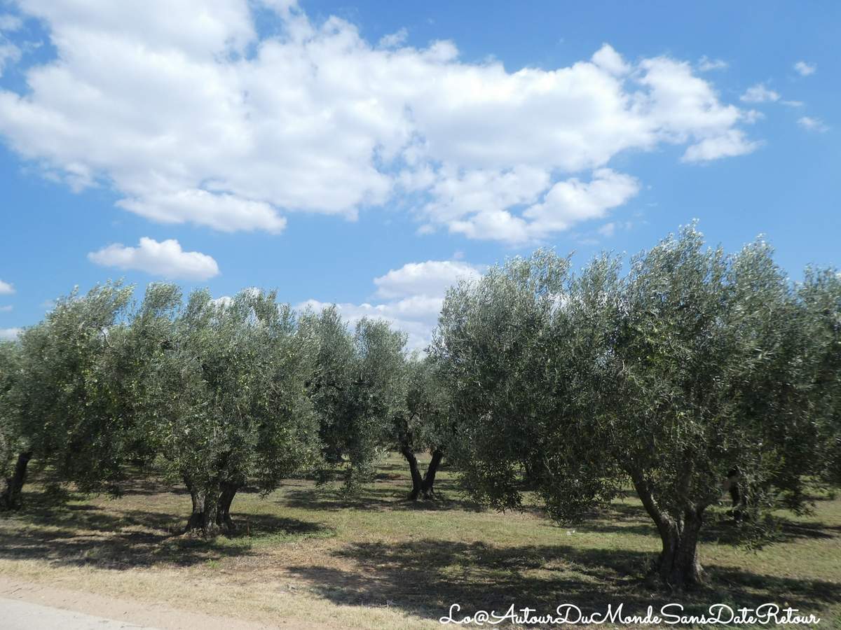 GRÈCE, LA CHALCIDIQUE (HALKIDIKI) : MAGNIFIQUE DÉCOUVERTE - LoMat