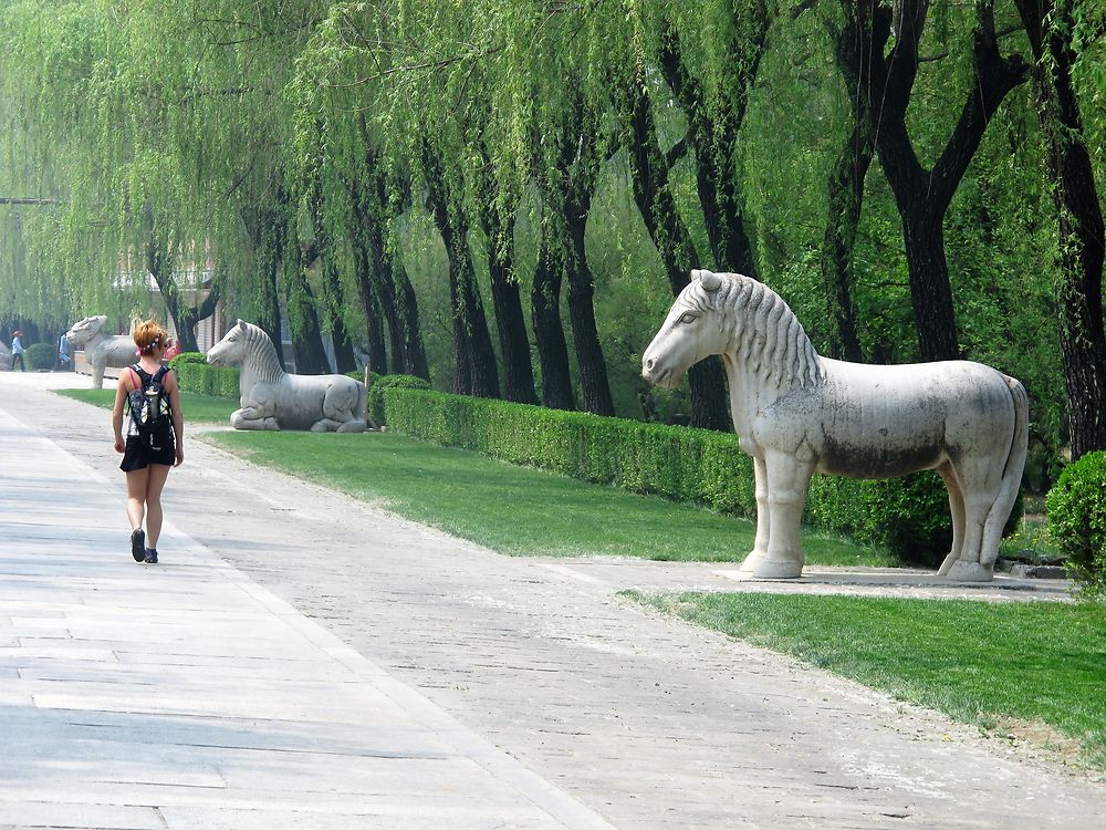 3 semaines au pays du soleil levant. Beijing, la grande muraille sur ses portions de Mutianyu et de Simatai, L’ascension du mont Hua Shan, les cultures en terrasse de Longji, la rivière Li, Hong-Kong, Macao, Shanghai - lebalouder 3 semaines au pays du soleil levant. Beijing, la grande muraille sur ses portions de Mutianyu et de Simatai, L’ascension du mont Hua Shan, les cultures en terrasse de Longji, la rivière Li, Hong-Kong, Macao, Shanghai - lebalouder