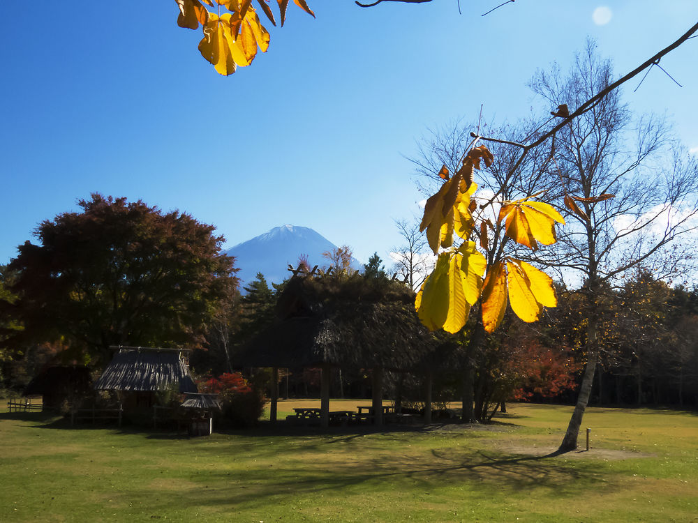 recapitulatif de 30 jours au japon en octobre - sostressed