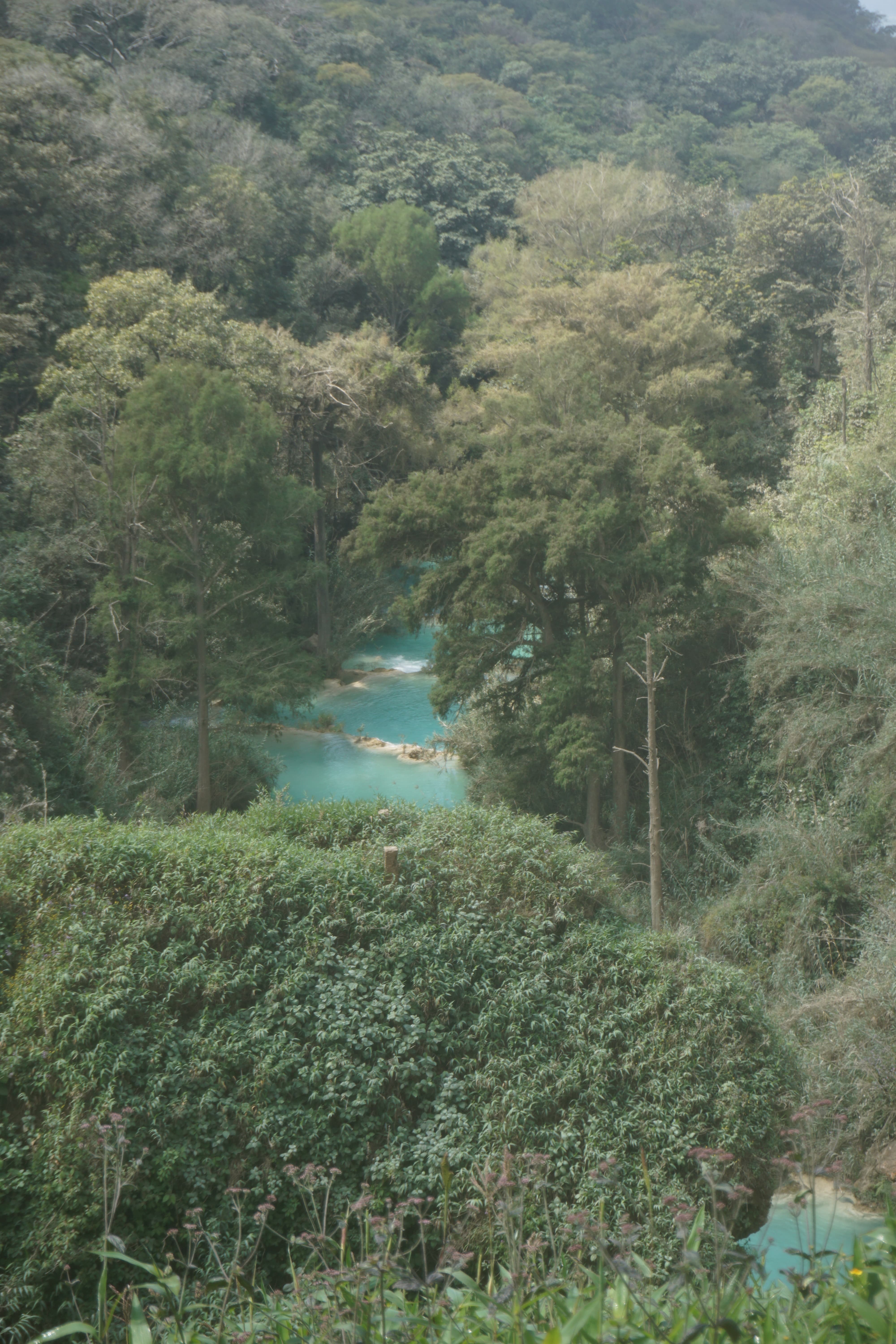DSC02456
