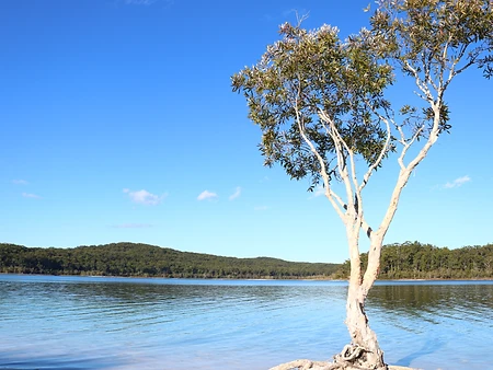 Kangourous, Koalas, Crocodiles et Araignées - 1 mois de Road Trip en Australie - Adelette