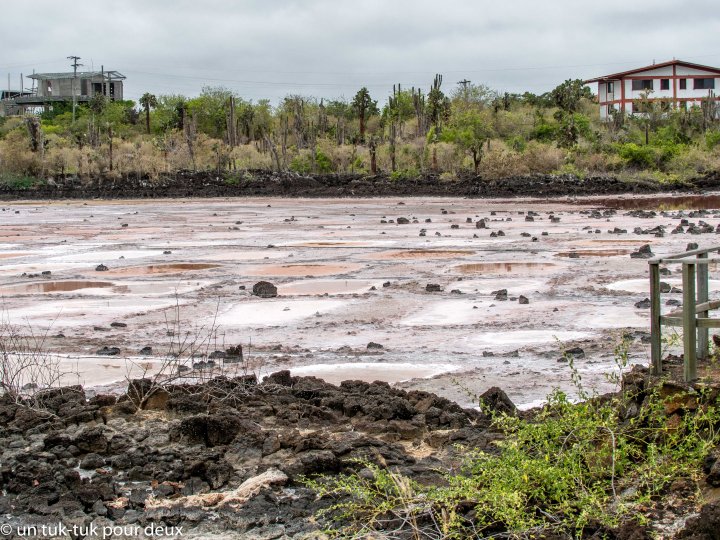 12 jours aux Îles Galápagos en autonomie, c'est vraiment merveilleux! - un-tuk-tuk-pour-deux