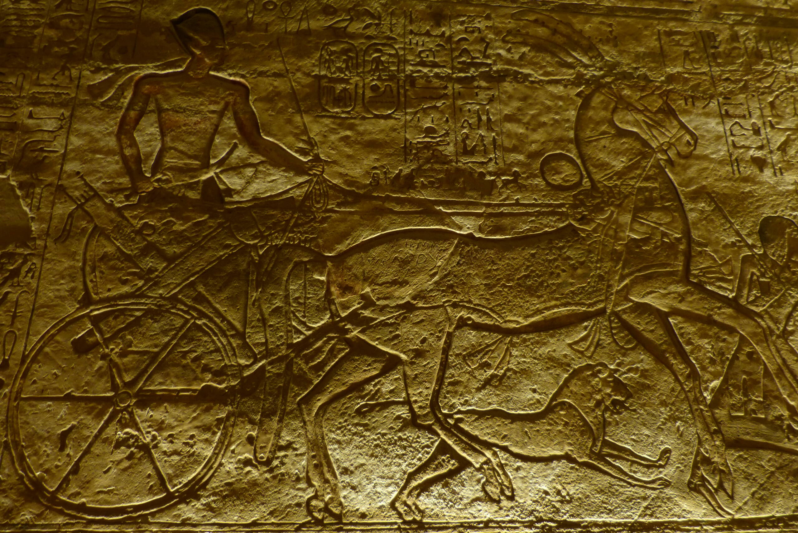 Egypte novembre 2025 : retour sur mon voyage P1690811