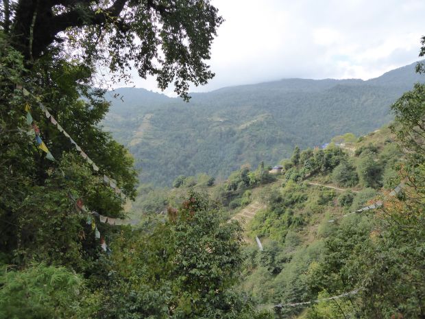 Vers le camp de base de l'Annapurna ! - fab_lio