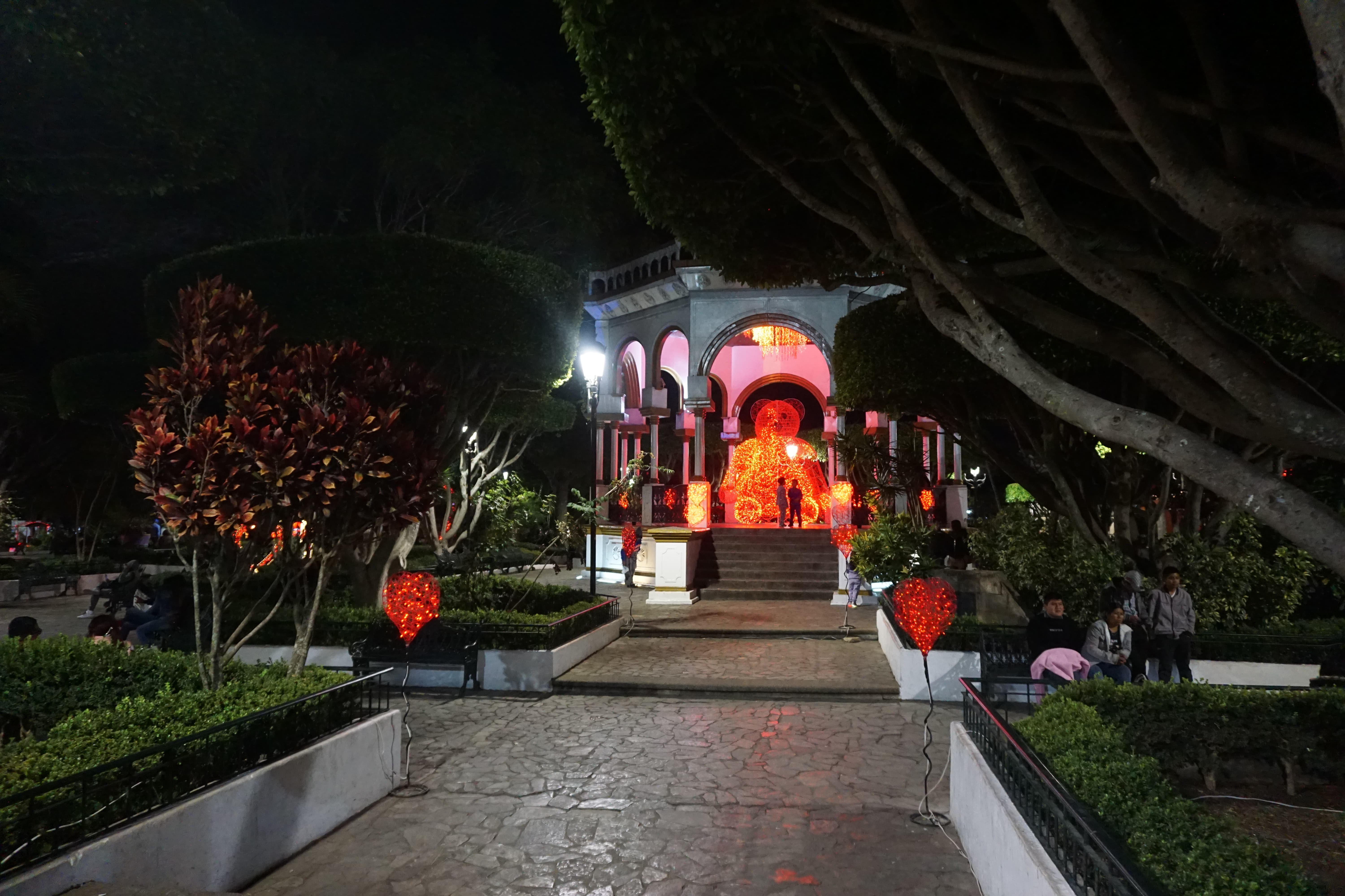 DSC02600