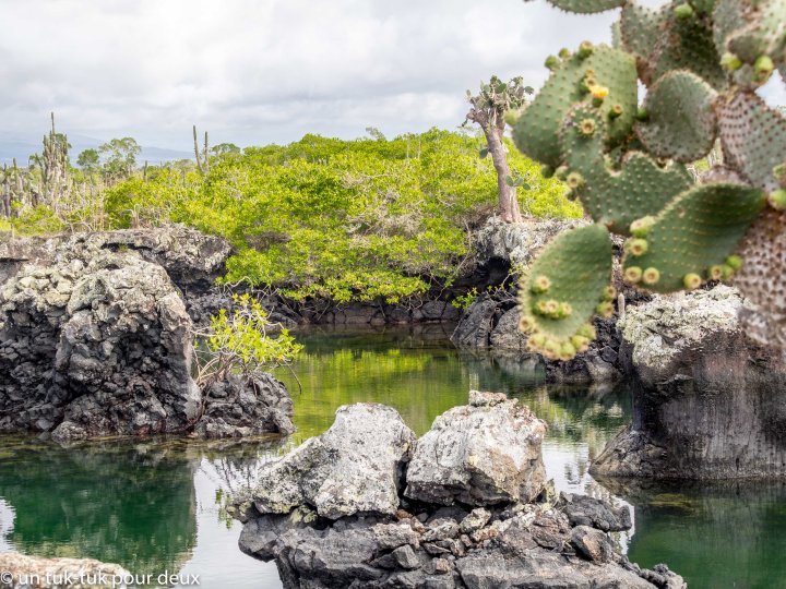 12 jours aux Îles Galápagos en autonomie, c'est vraiment merveilleux! - un-tuk-tuk-pour-deux