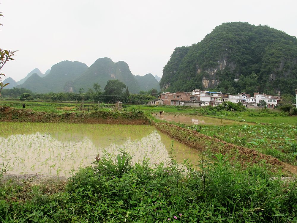 3 semaines au pays du soleil levant. Beijing, la grande muraille sur ses portions de Mutianyu et de Simatai, L’ascension du mont Hua Shan, les cultures en terrasse de Longji, la rivière Li, Hong-Kong, Macao, Shanghai - lebalouder 3 semaines au pays du soleil levant. Beijing, la grande muraille sur ses portions de Mutianyu et de Simatai, L’ascension du mont Hua Shan, les cultures en terrasse de Longji, la rivière Li, Hong-Kong, Macao, Shanghai - lebalouder
