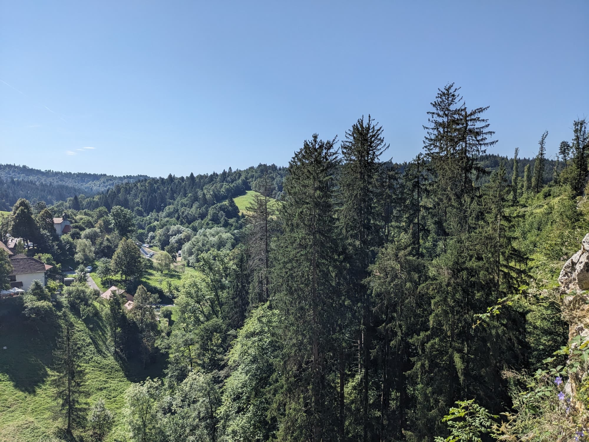 PXL_20230813_083257655_1