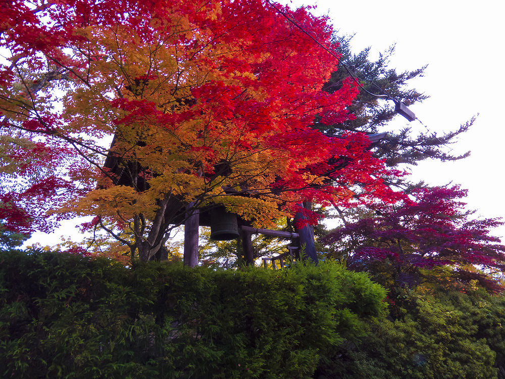 recapitulatif de 30 jours au japon en octobre - sostressed