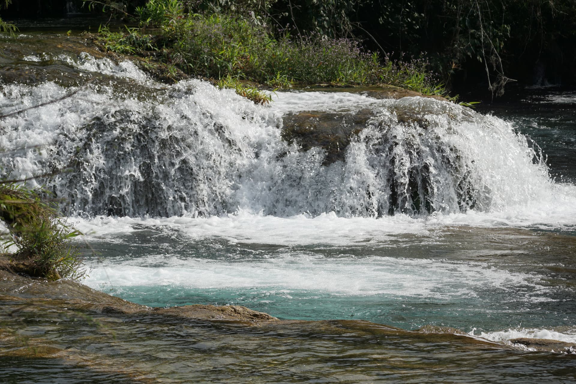 DSC02404