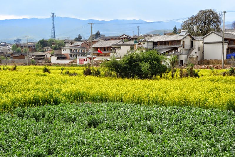 SHAXI / Chine ... mon coup de coeur - passionnasie SHAXI / Chine ... mon coup de coeur - passionnasie