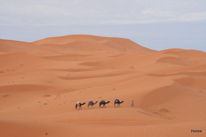 Trek dans les dunes de Merzouga et la palmeraie de Skoura au Maroc - hunza Trek dans les dunes de Merzouga et la palmeraie de Skoura au Maroc - hunza