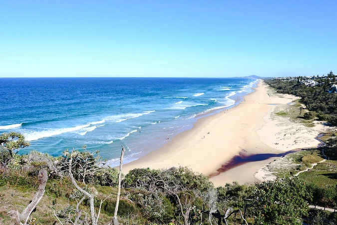 Kangourous, Koalas, Crocodiles et Araignées - 1 mois de Road Trip en Australie - Adelette