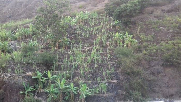 2 semaines de randonnées à Santo Antao (Cap Vert) - Mercuri63