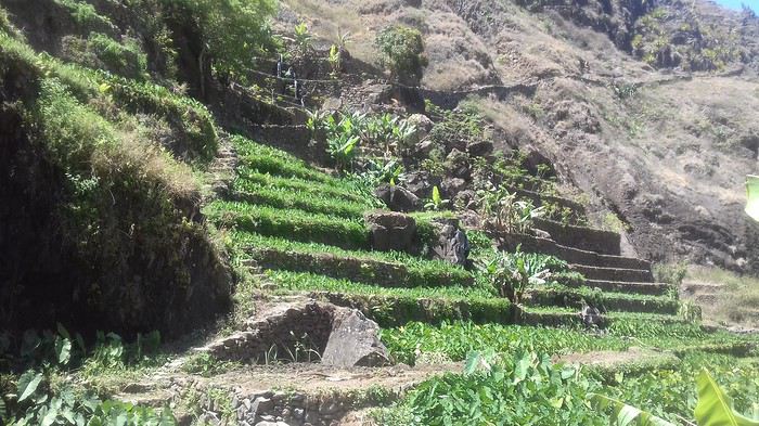 2 semaines de randonnées à Santo Antao (Cap Vert) - Mercuri63