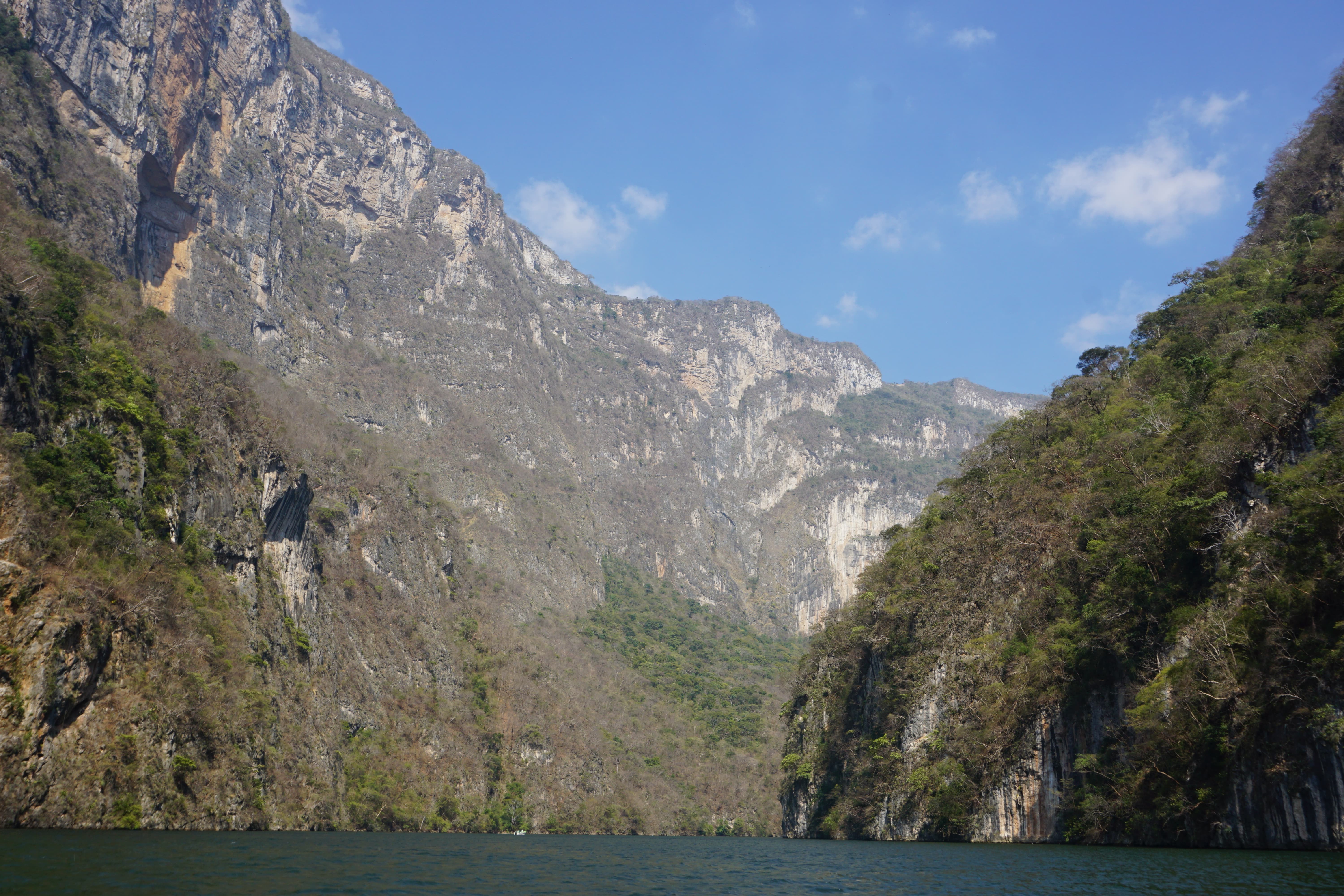 DSC02191