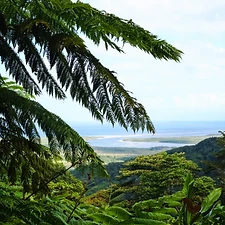 Kangourous, Koalas, Crocodiles et Araignées - 1 mois de Road Trip en Australie - Adelette