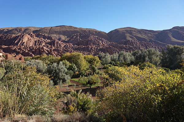 Circuit 10 jours au Maroc dans les oasis avec 3 enfants (11, 9 et 5 ans) - Toussaint 2015 - laroliere