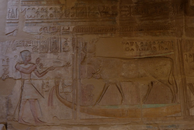 Egypte novembre 2025 : retour sur mon voyage P1680210