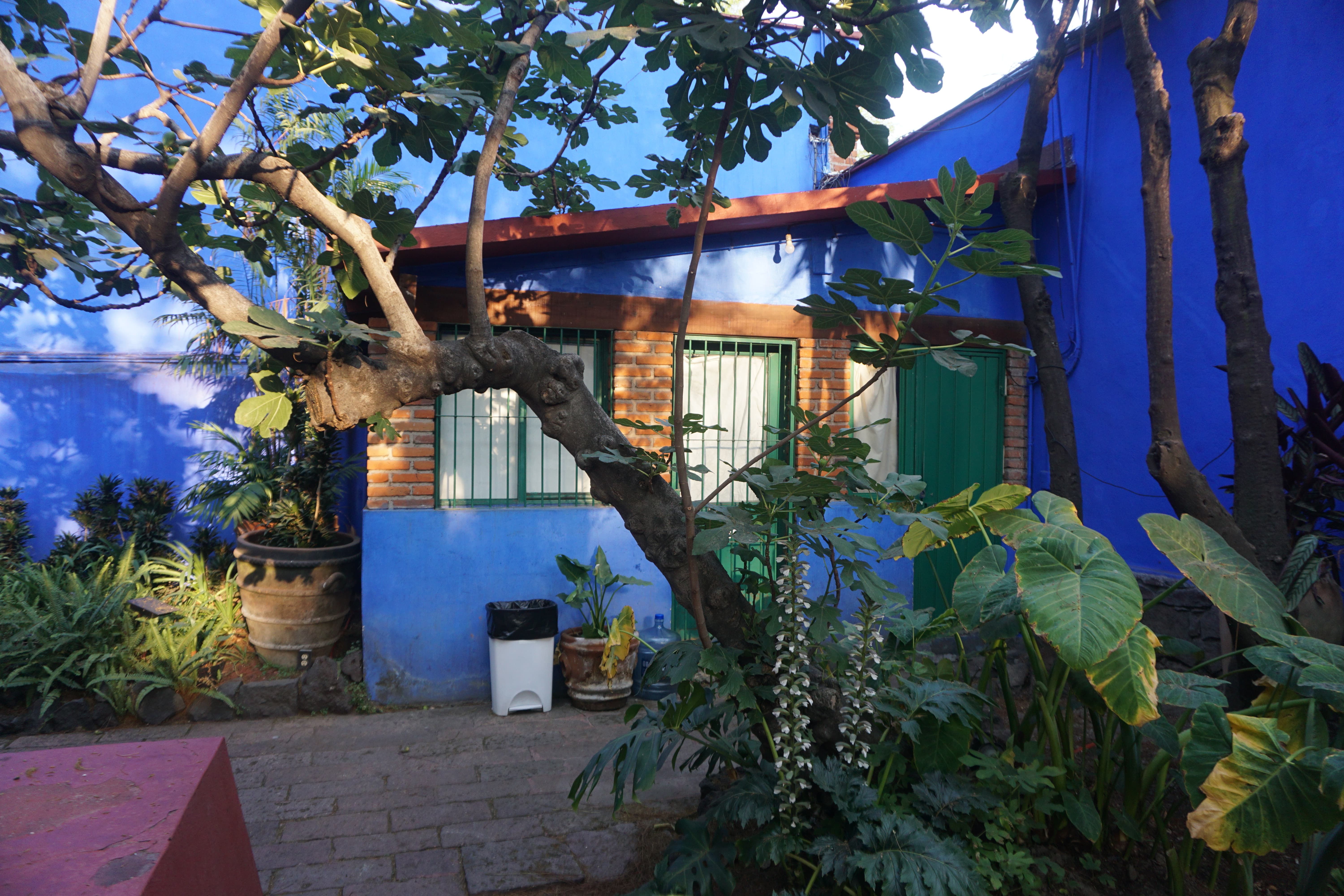 DSC03659